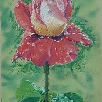 Desenho intitulada "Роза" por Aleksandr Khablo, Obras de arte originais, Pastel
