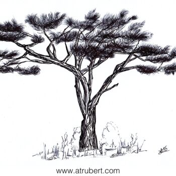 제목이 "Croquis arbre Artis…"인 그림 A.T.6 Alexandre Trubert로, 원작, 볼펜