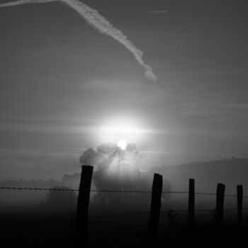 Photography titled "Matin brumeux" by A.T Photographie, Original Artwork, Digital Photography
