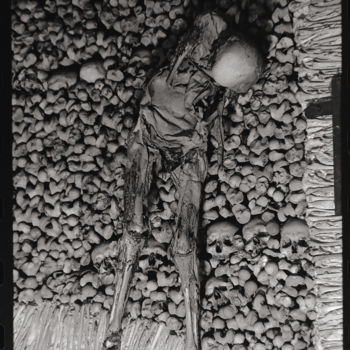 Φωτογραφία με τίτλο ""Human bones"" από António Amaralgomes, Αυθεντικά έργα τέχνης, Φωτογραφική ταινία