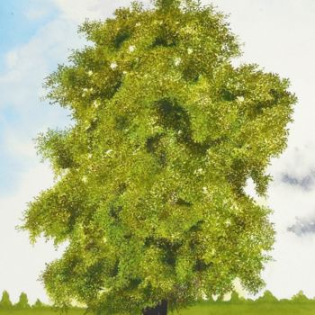 Peinture intitulée "Oak Tree" par Shweta Mahajan, Œuvre d'art originale, Aquarelle