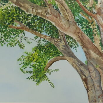 Painting titled "Sacred Fig Tree" by Shweta Mahajan, Original Artwork, Watercolor