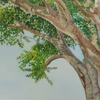 Pintura intitulada "Sacred Fig Tree" por Shweta Mahajan, Obras de arte originais, Aquarela