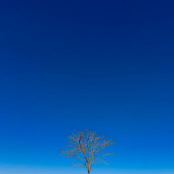 Fotografie getiteld "Dry Loneliness" door Abreu, Origineel Kunstwerk, Digitale fotografie