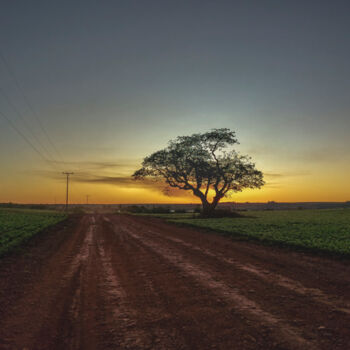 "life on the way" başlıklı Fotoğraf Abreu tarafından, Orijinal sanat, Dijital Fotoğrafçılık