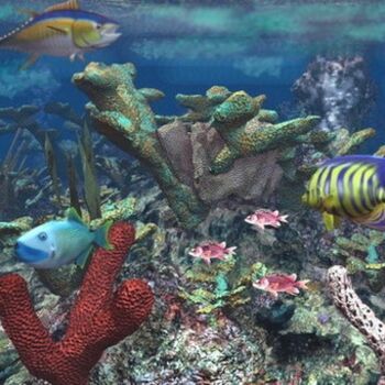 Digital Arts titled "At coral reef" by Andrew Volodutsky, Original Artwork, Digital Painting