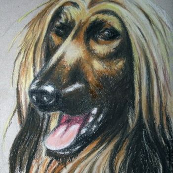 Painting titled "Afghan Hound" by Andrew Volodutsky, Original Artwork, Oil