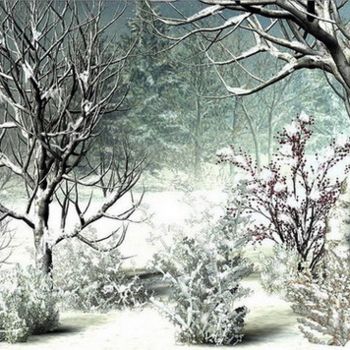 제목이 "Winter Landscape"인 디지털 아트 Andrew Volodutsky로, 원작, 3D 모델링