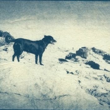Fotografie mit dem Titel "Les chiens des Roch…" von Ariane Canta-Brejnik, Original-Kunstwerk, Nicht bearbeitete Fotografie