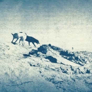 "Les chiens des Roch…" başlıklı Fotoğraf Ariane Canta-Brejnik tarafından, Orijinal sanat, Fotoşopsuz fotoğraf