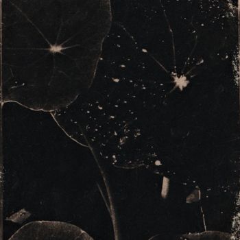 Fotografía titulada "Sombre esquisse" por Ariane Canta-Brejnik, Obra de arte original, Fotografía no manipulada Montado en C…