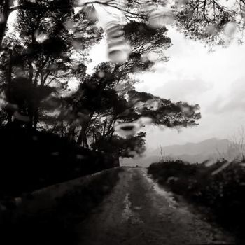 「Le chemin de la pla…」というタイトルの写真撮影 Ariane Canta-Brejnikによって, オリジナルのアートワーク