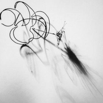 Fotografía titulada "l'ombre dessine 1" por Ariane Canta-Brejnik, Obra de arte original