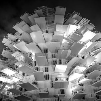 Photographie intitulée "L'Arbre Blanc Montp…" par Ludovic Charpentier, Œuvre d'art originale, Photographie numérique Monté s…