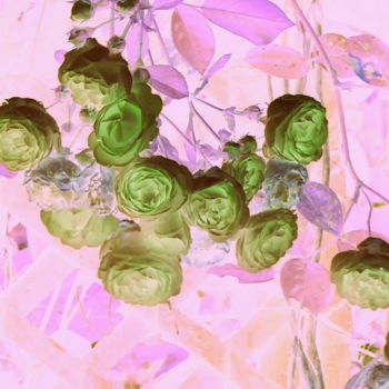 Digital Arts με τίτλο "Fleurs Acidulées.#a…" από Adèle Vahn, Αυθεντικά έργα τέχνης, 2D ψηφιακή εργασία