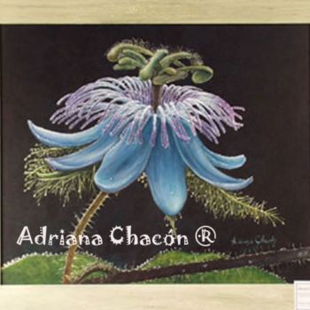 Pintura titulada "PASIONARIA" por Adriana Chacon, Obra de arte original