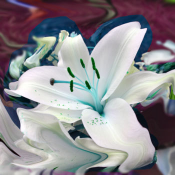 Photography titled "flower-1" by Henk Adriani, Original Artwork, Digital Photography