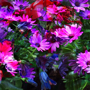 Fotografia zatytułowany „Flowers” autorstwa Henk Adriani, Oryginalna praca, Fotografia cyfrowa