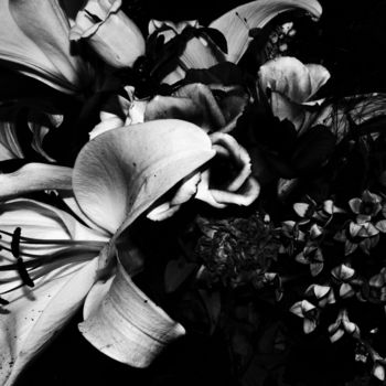 Fotografia zatytułowany „Flowers#2” autorstwa Henk Adriani, Oryginalna praca, Fotografia cyfrowa