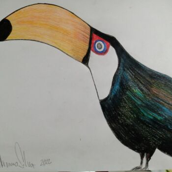 Dessin intitulée "Tucano" par Adriano Silva, Œuvre d'art originale, Crayon