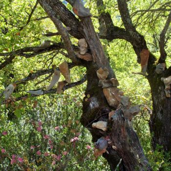 Fotografia zatytułowany „arbre aux pierres” autorstwa L'Accordeur De Paysages, Oryginalna praca