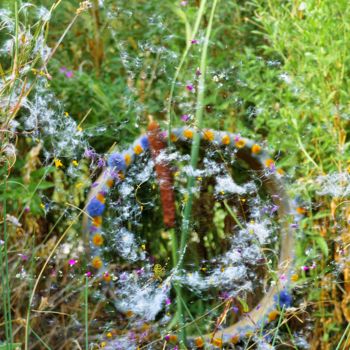 Fotografía titulada "remembrance (souven…" por L'Accordeur De Paysages, Obra de arte original