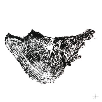 Отпечатки и Гравюры под названием "Hêtre. 90 ans" - Adrien Thivolle (l'âge des arbres), Подлинное произведение искусства, Че…
