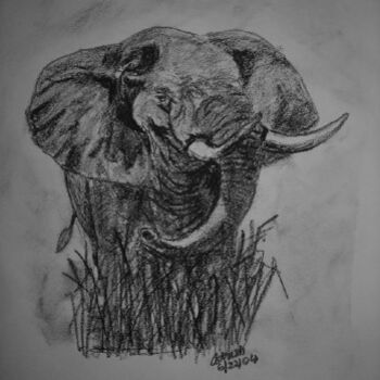 Disegno intitolato "African Elephant" da Adrish Sen, Opera d'arte originale