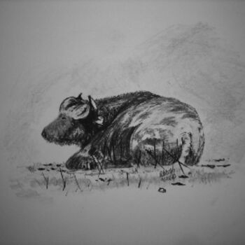 Drawing titled "Bison" by Adrish Sen, Original Artwork