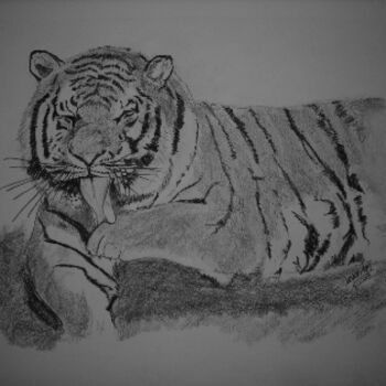 Zeichnungen mit dem Titel "Royal Bengal Tiger" von Adrish Sen, Original-Kunstwerk