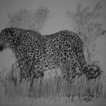 Zeichnungen mit dem Titel "Indian Panther" von Adrish Sen, Original-Kunstwerk