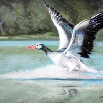 Malerei mit dem Titel "Une oie sur l'eau!" von Adyne Gohy, Original-Kunstwerk, Pastell