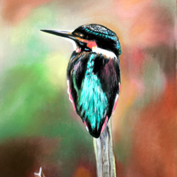 Painting titled "Martin-pêcheur vu a…" by Adyne Gohy, Original Artwork, Pastel