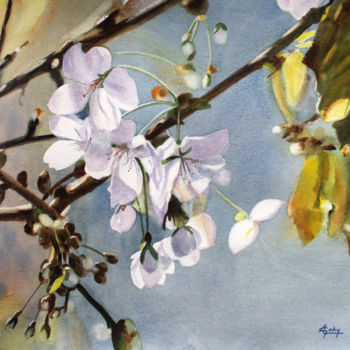 Painting titled "Fleurs de prunier" by Adyne Gohy, Original Artwork, Watercolor