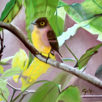 Painting titled "Un tufled flycatcher" by Adyne Gohy, Original Artwork, Pastel