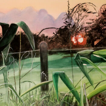 Peinture intitulée "Coucher de soleil d…" par Adyne Gohy, Œuvre d'art originale, Aquarelle