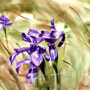 Ζωγραφική με τίτλο "Iris des Pyrénées" από Adyne Gohy, Αυθεντικά έργα τέχνης, Ακουαρέλα