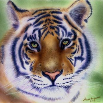 Painting titled "tigre" by Aerodreamscompany, Original Artwork