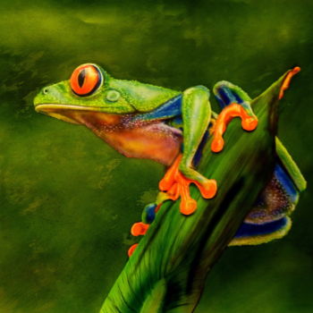 Painting titled "grenouille" by Aerodreamscompany, Original Artwork