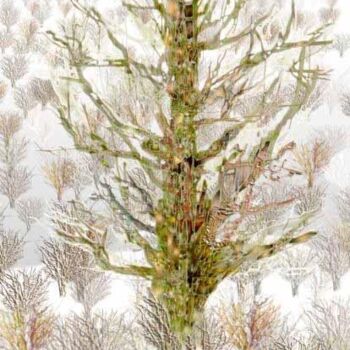 Digital Arts titled "Tree 1" by Afanassy Pud, Original Artwork