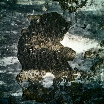 Photographie intitulée "ourse" par Agnès Lebreau (a.l), Œuvre d'art originale, Photographie numérique