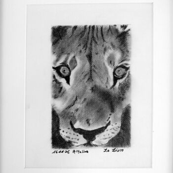 "Le lion" başlıklı Resim Agnès M tarafından, Orijinal sanat, Petrol