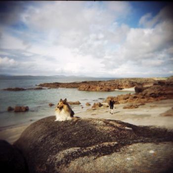 Fotografía titulada "chien sur la plage" por Agnès M, Obra de arte original