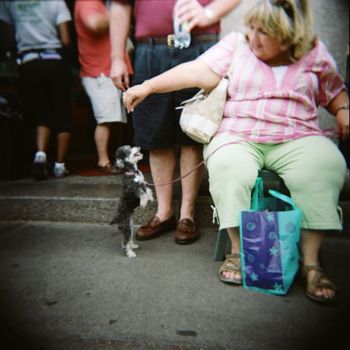 Φωτογραφία με τίτλο "La dame au chien, C…" από Agnès M, Αυθεντικά έργα τέχνης