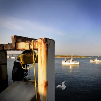 Photographie intitulée "La mouette, Est des…" par Agnès M, Œuvre d'art originale