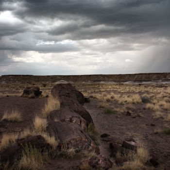 Photography titled "Petrified Forest Na…" by Agnès M, Original Artwork