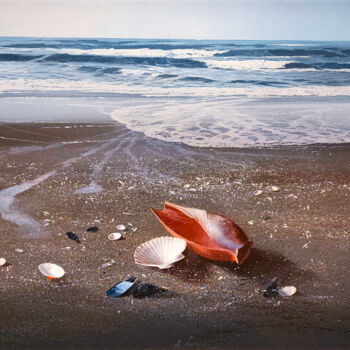 Pintura intitulada "Beach with shells" por Agostino Cancogni, Obras de arte originais, Óleo Montado em Armação em madeira