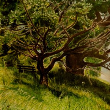 Картина под названием "Скамейка в тени дуб…" - Андрей Гудков, Подлинное произведение искусства, Акварель
