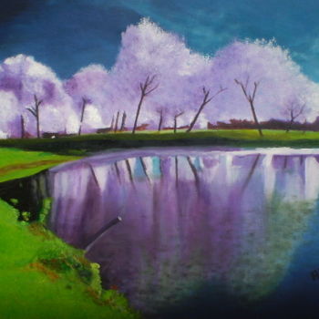 Pintura titulada "laguna-rosa.jpg" por Agustin, Obra de arte original, Oleo