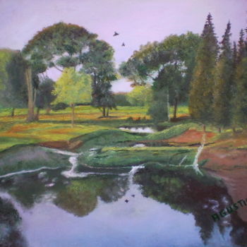 Pittura intitolato "laguna-paisaje.jpg" da Agustin, Opera d'arte originale, Olio